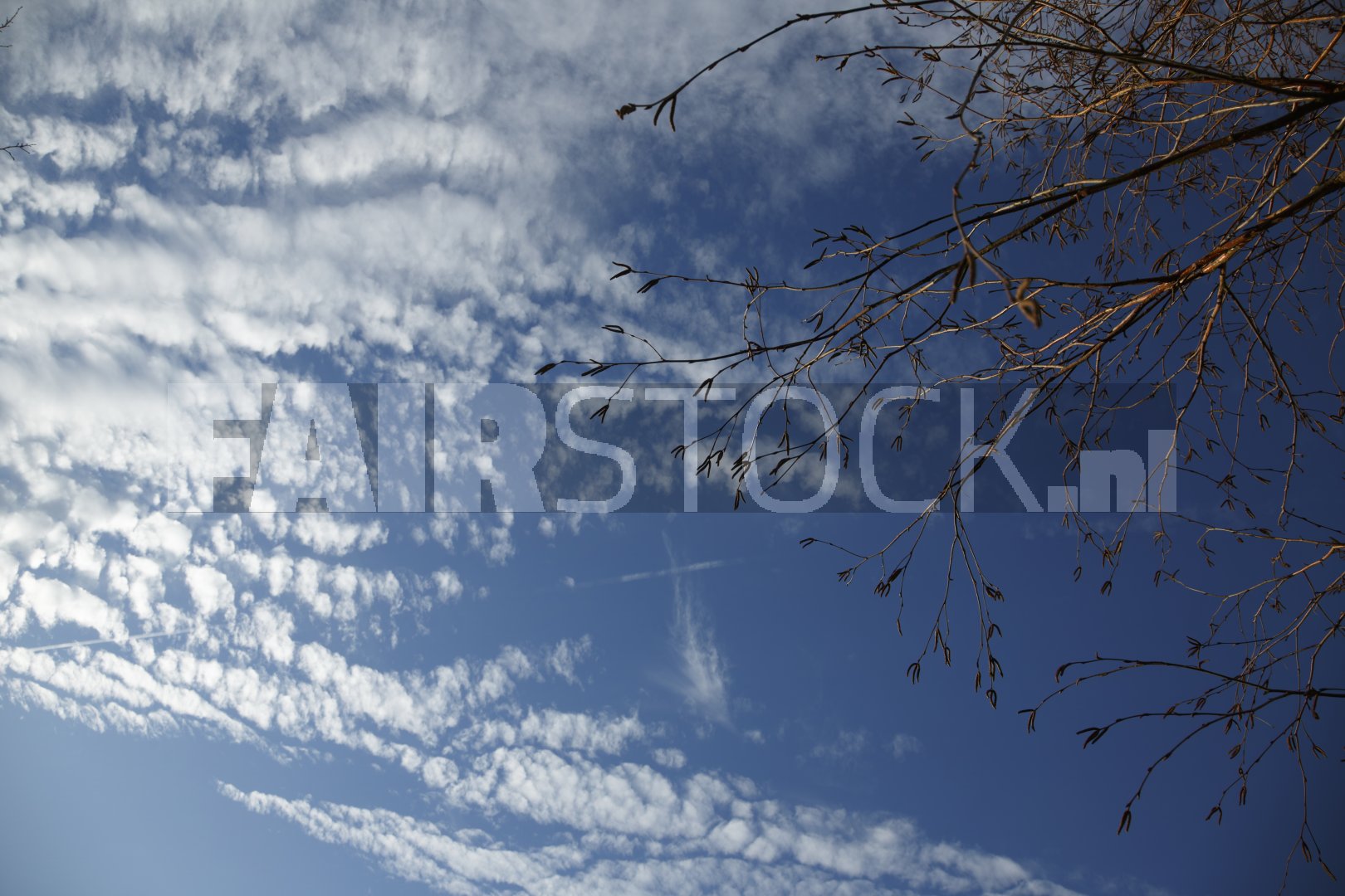 Luchter met wolken en takken op helder weer