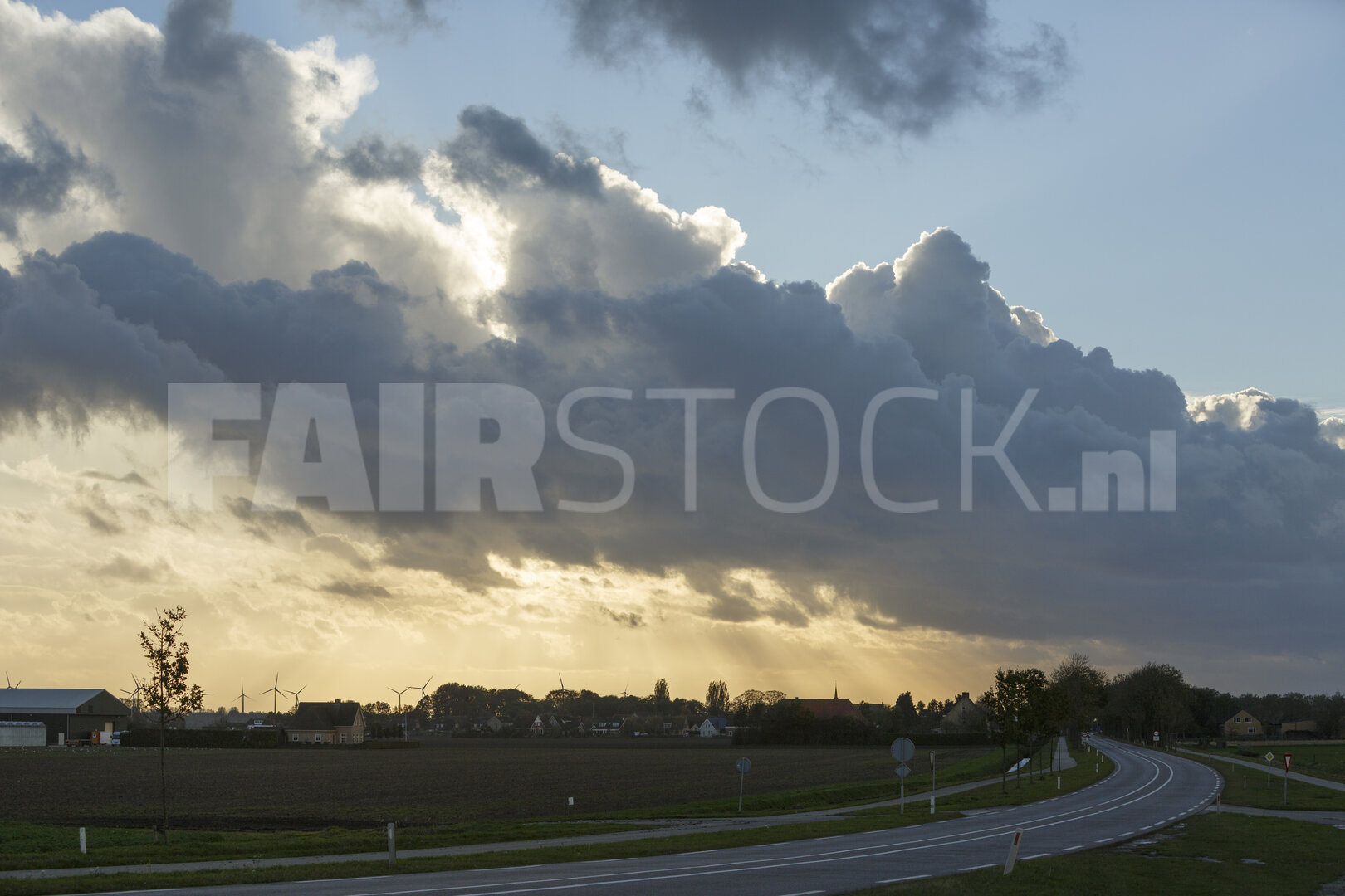 Kronkelende weg door het platteland