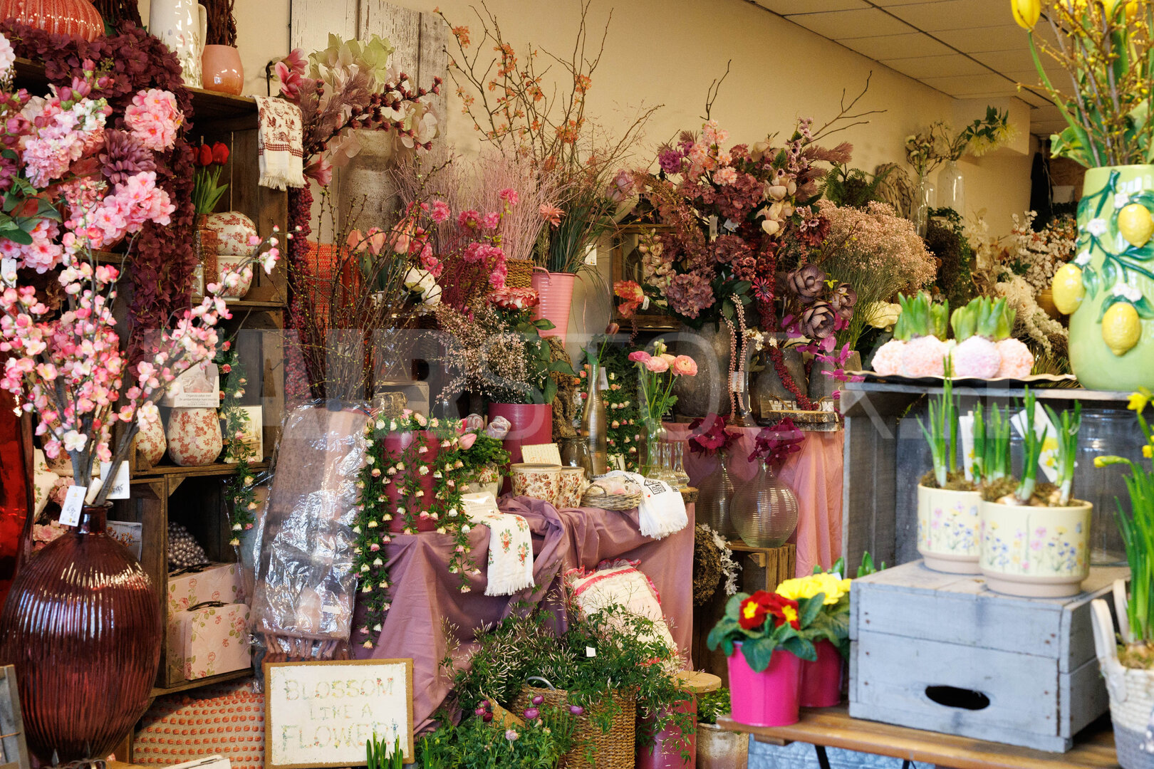 Bloemenwinkel Klundert maanden slecht bereikbaar door straatwerken