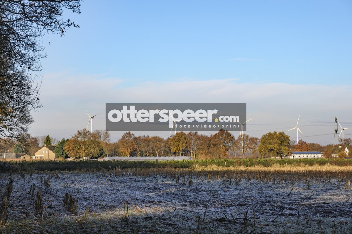 Overgang herfst-winter met windmolens en rijp