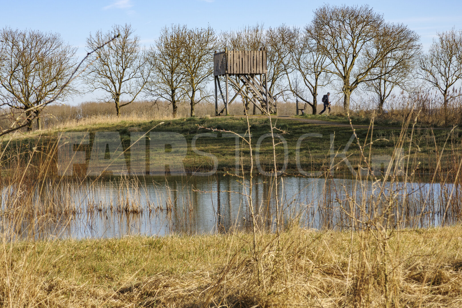 Scenic landscape showcasing a hunting blind near a tranquil pond
