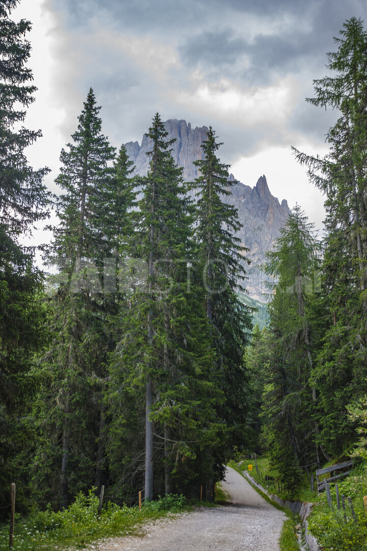 Adembenemend uitzicht op torenhoge pieken en majestueuze dennenboom
