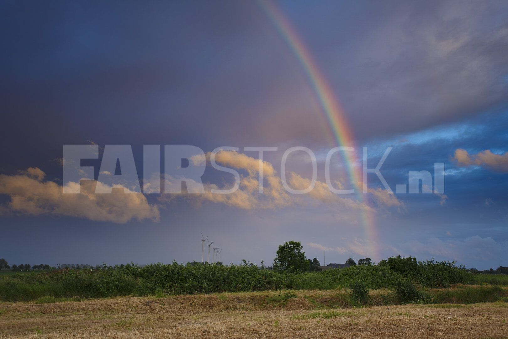 Levendige regenboog boven velden na zomerregen